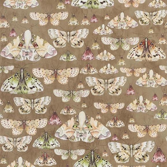 Флизелиновые Designers guild PDG713/06 коллекции Jardin Des Plantes
