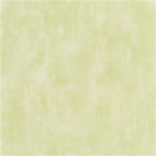 Флизелиновые Designers guild PDG719/31 коллекции Parchment