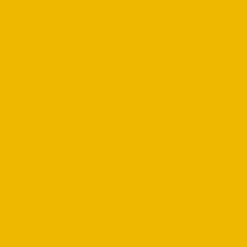 Краска Swiss Lake цвет Rape yellow RAL 1021