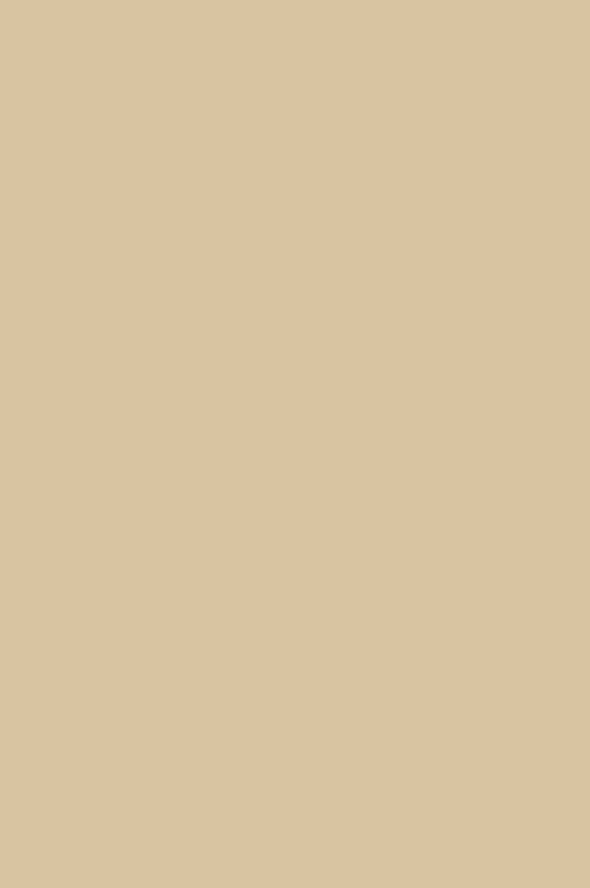 Краска Paint & Paper Library 505 Clay V
