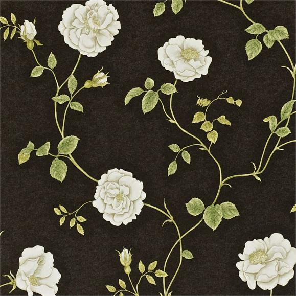 Обои Sanderson A Painters Garden DAPGRO104