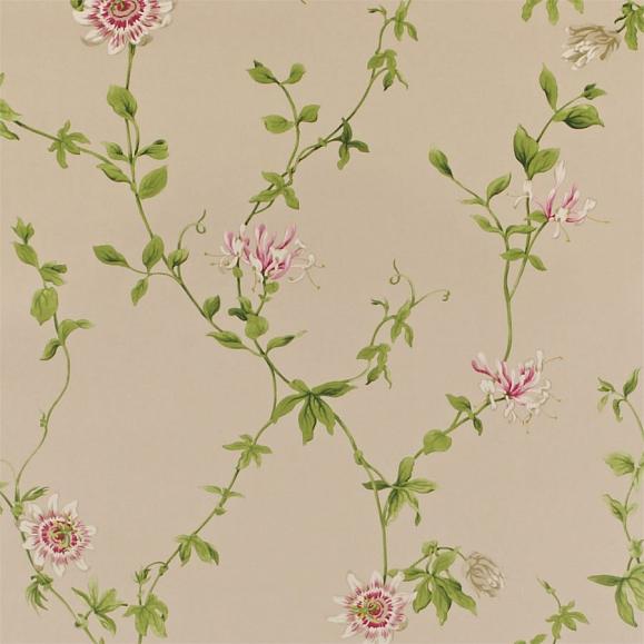 Обои Sanderson DPEMPF103 коллекции Pemberley