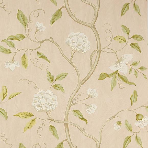 Обои бумажные Colefax and Fowler 07949/14 коллекции Jardine Florals