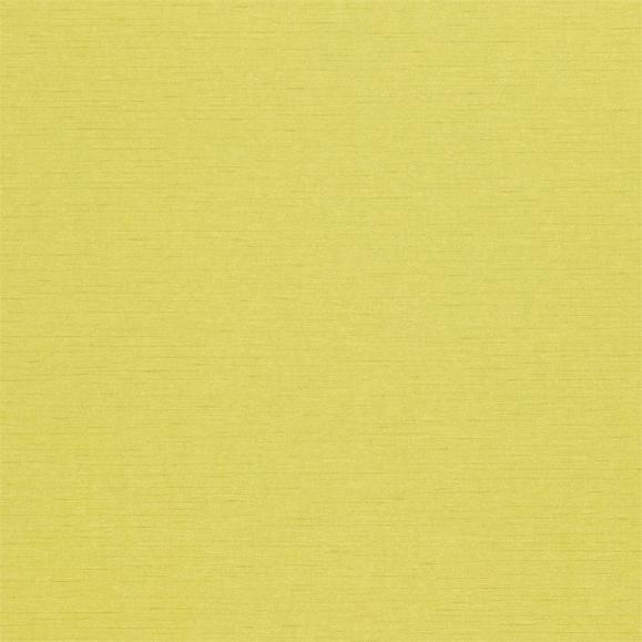 Обои Sanderson A Painters Garden DAPGLD104