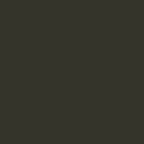 Краска Swiss Lake цвет Brown green RAL 6008