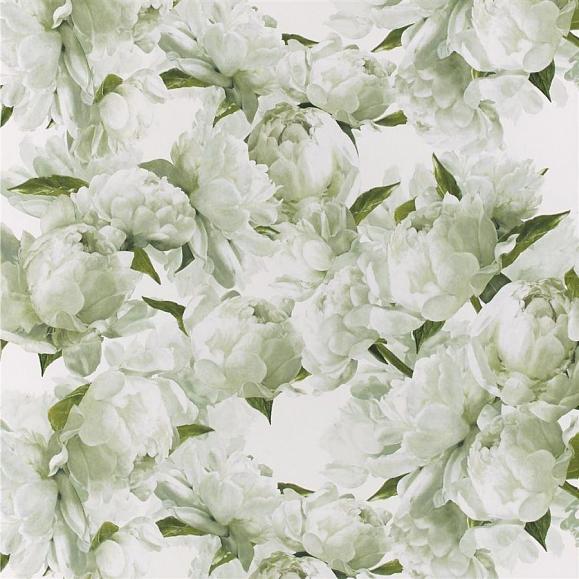 Флизелиновые Designers guild PDG1094/03 коллекции Foscari Fresco