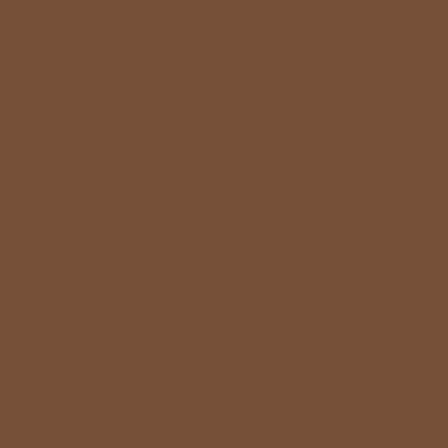 Краска Swiss Lake цвет Beige brown RAL 8024