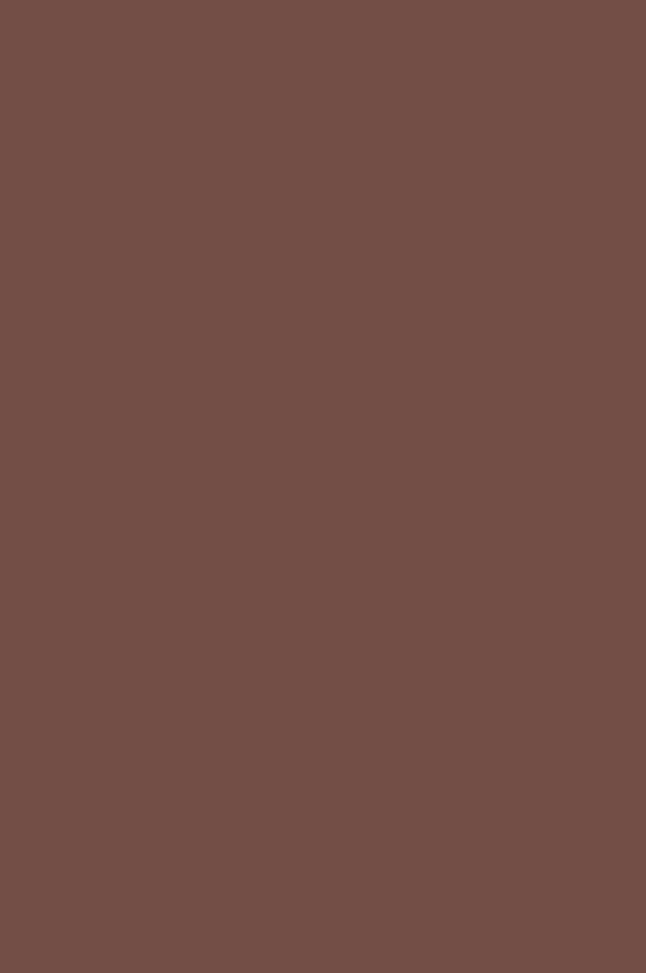 Краска Paint & Paper Library 319 Masai