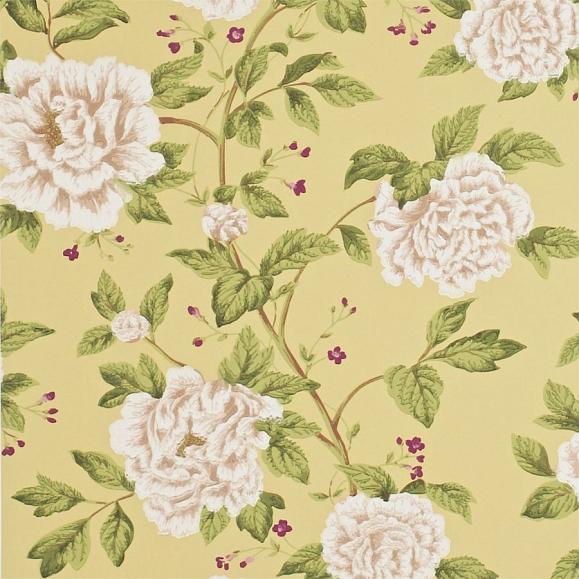 Обои Sanderson DPEMPT104 коллекции Pemberley
