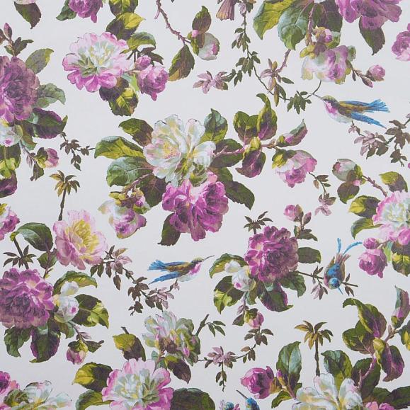 Флизелиновые Clarke&Clarke W0112/02 коллекции Oasis