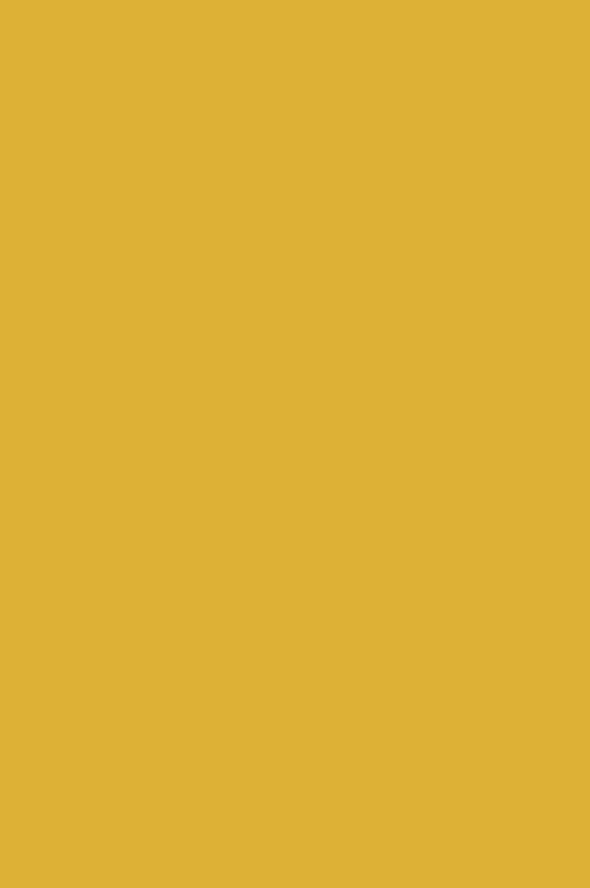 Краска Paint & Paper Library 484 Gamboge