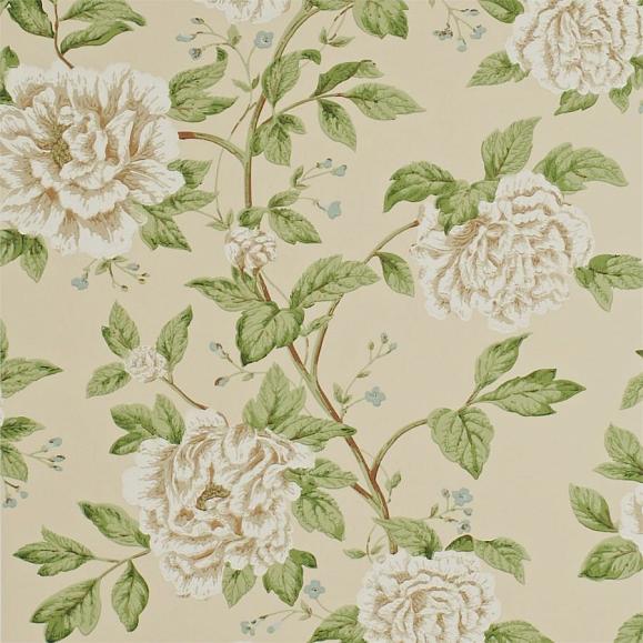 Обои Sanderson DPEMPT103 коллекции Pemberley