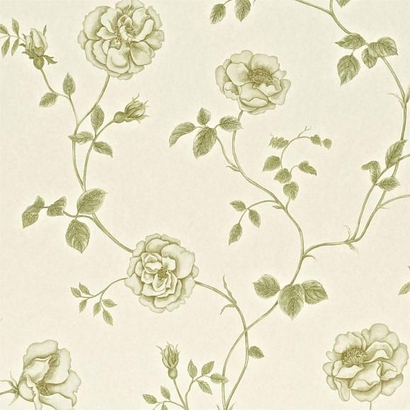 Обои Sanderson A Painters Garden DAPGRO101