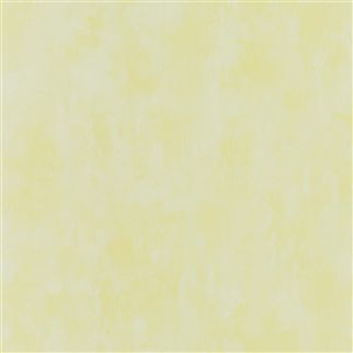 Флизелиновые Designers guild PDG719/33 коллекции Parchment