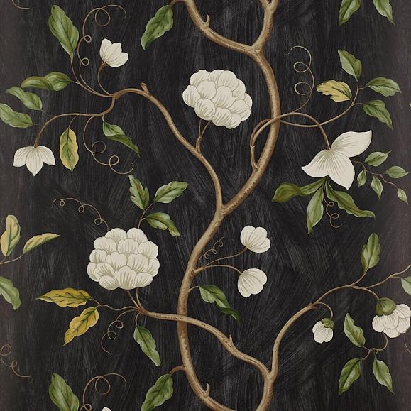 Обои бумажные Colefax and Fowler 07949/06 коллекции Jardine Florals
