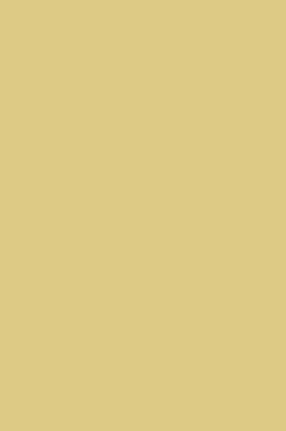 Краска Paint & Paper Library 519 Scallion