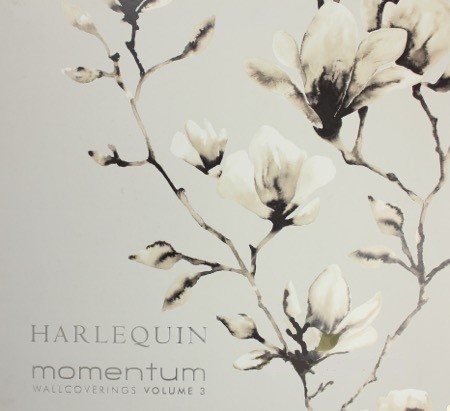 Momentum 3