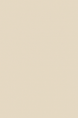 Краска Paint & Paper Library 264 Sand IV