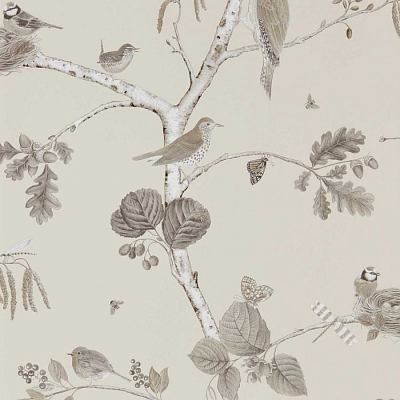 Обои Sanderson DWOW215704 коллекции Country Woodland