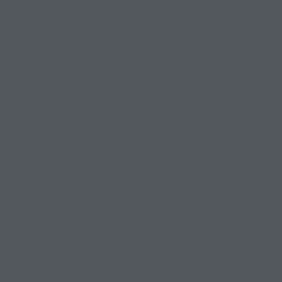 Краска Swiss Lake цвет Iron grey RAL 7011