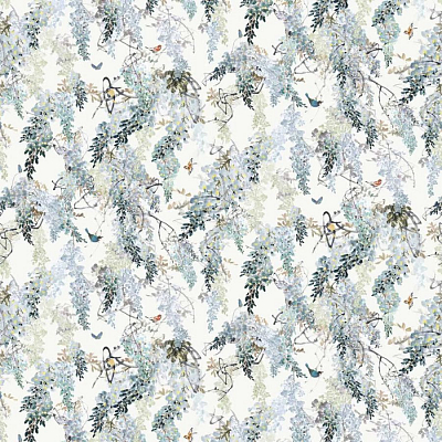 Обои Sanderson 217468 коллекции Curios Wallpaper