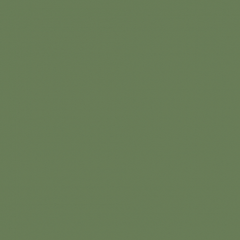 Краска Little Greene цвет Reseda green RAL 6011
