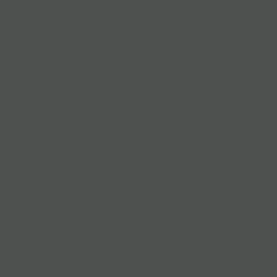 Краска Swiss Lake цвет Traffic grey B RAL 7043