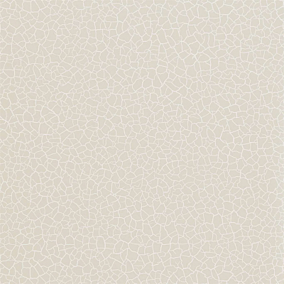 Обои Zoffany Oblique 312833
