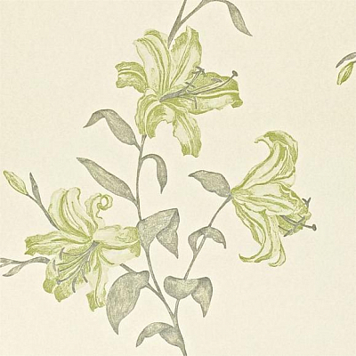 Обои Sanderson A Painters Garden DAPGSE105