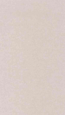 Обои Casadeco Nuances NUAN81921152