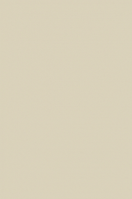 Краска Paint & Paper Library 303 Canvas III