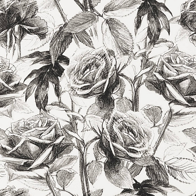 Обои Clarke&Clarke Floribunda W0037/07