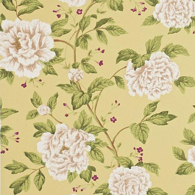 Обои Sanderson DPEMPT104 коллекции Pemberley