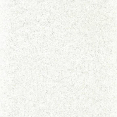 Флизелиновые Zoffany 312956 коллекции Folio