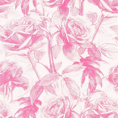 Обои Clarke&Clarke Floribunda W0037/09