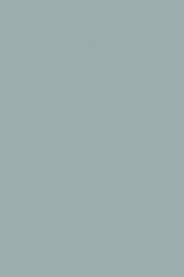 Краска Paint & Paper Library 690 Spruce