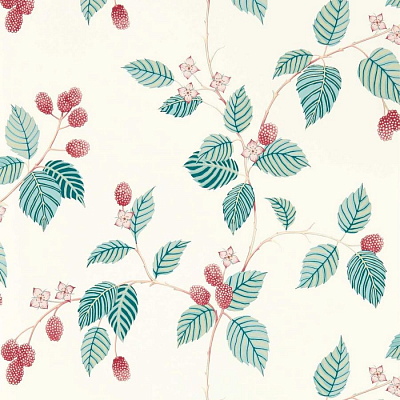 Обои Sanderson DABW217228 коллекции Garden