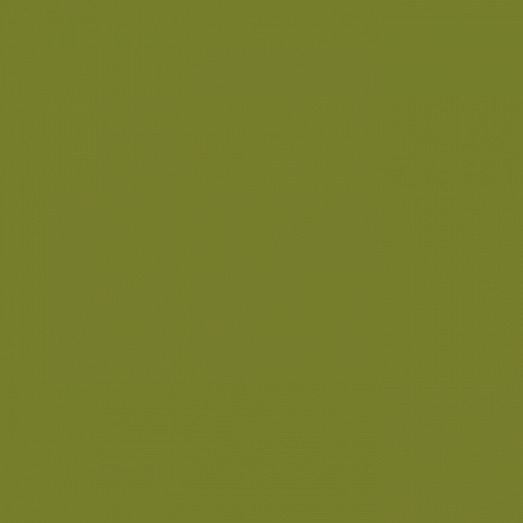 Краска Little Greene цвет Citrine 71