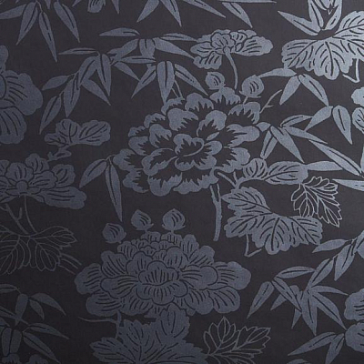 Флизелиновые Clarke&Clarke W0110/01 коллекции Oasis