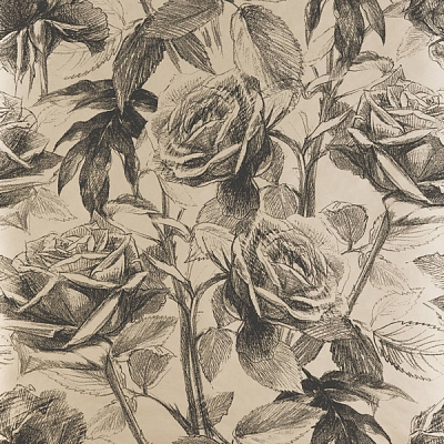 Обои Clarke&Clarke Floribunda W0037/01