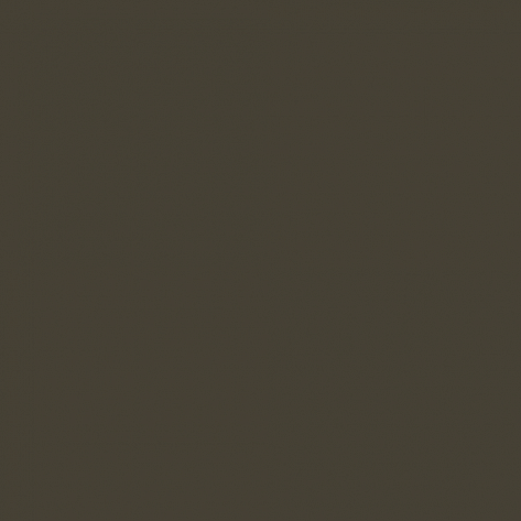 Краска Little Greene цвет Yellow olive RAL 6014