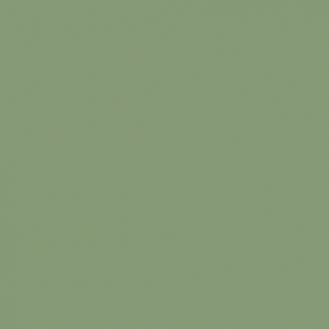 Краска Little Greene цвет Pale green RAL 6021