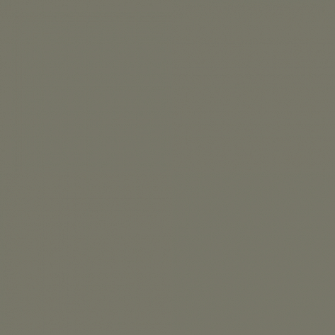 Краска Little Greene цвет Moss grey RAL 7003