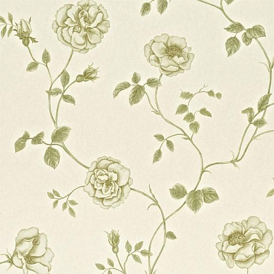 Обои Sanderson A Painters Garden DAPGRO101