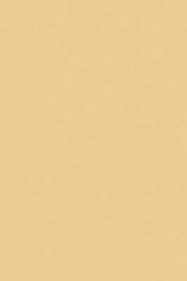 Краска Paint & Paper Library 465 Ivory V