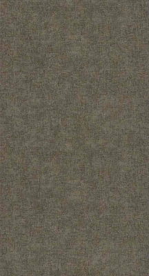 Обои Casadeco Nuances NUAN81921509