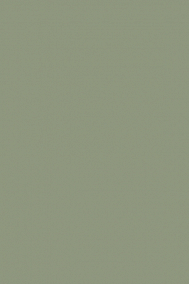 Краска Paint & Paper Library 579 Greenback