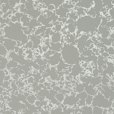 Обои Clarke&Clarke Botanica W0096/03