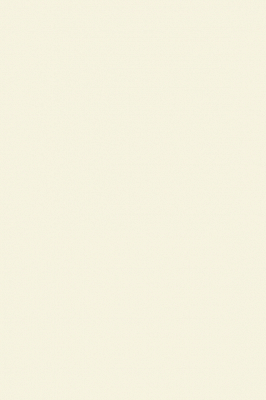 Краска Paint & Paper Library 262 Sand II