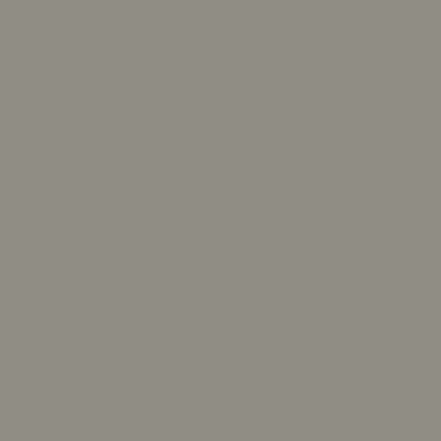 Краска Swiss Lake цвет Stone grey RAL 7030